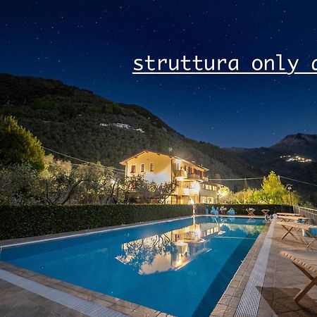 Sotto Il Cielo Di Toscana Appartamenti In Tenuta Only Adults No Pet Camaiore Eksteriør billede