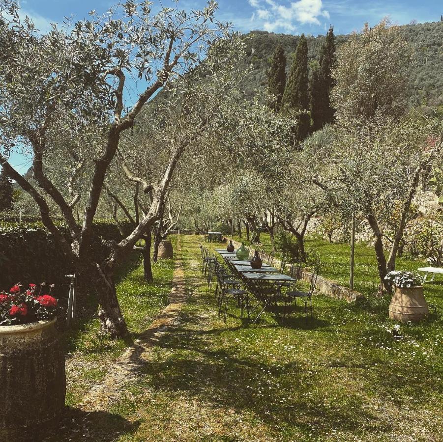 Sotto Il Cielo Di Toscana Appartamenti In Tenuta Only Adults No Pet Camaiore Eksteriør billede
