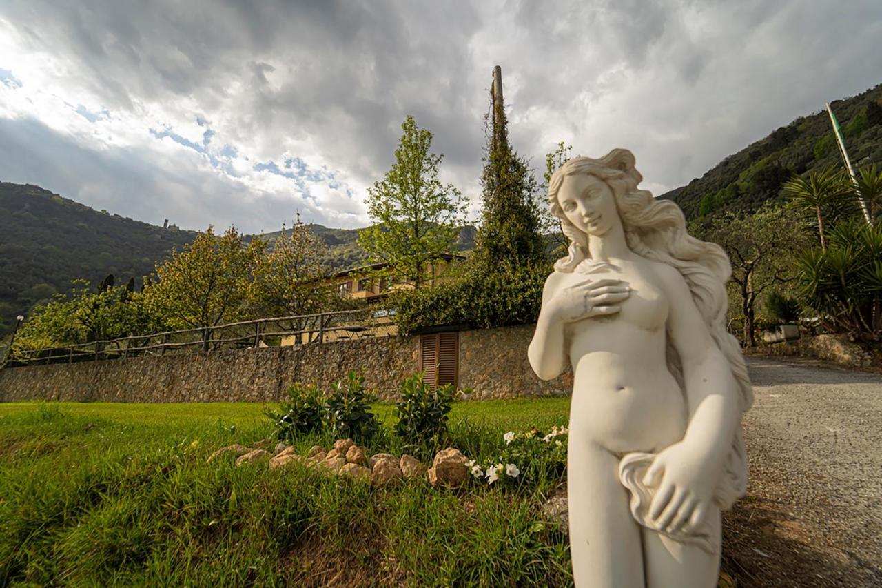 Sotto Il Cielo Di Toscana Appartamenti In Tenuta Only Adults No Pet Camaiore Eksteriør billede