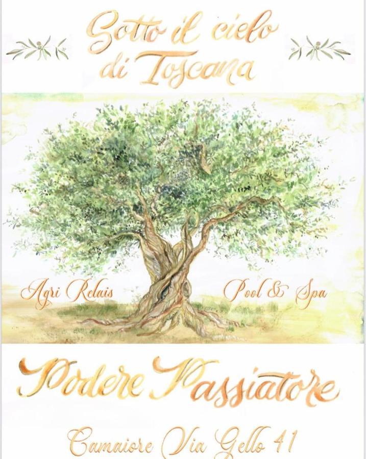 Sotto Il Cielo Di Toscana Appartamenti In Tenuta Only Adults No Pet Camaiore Eksteriør billede