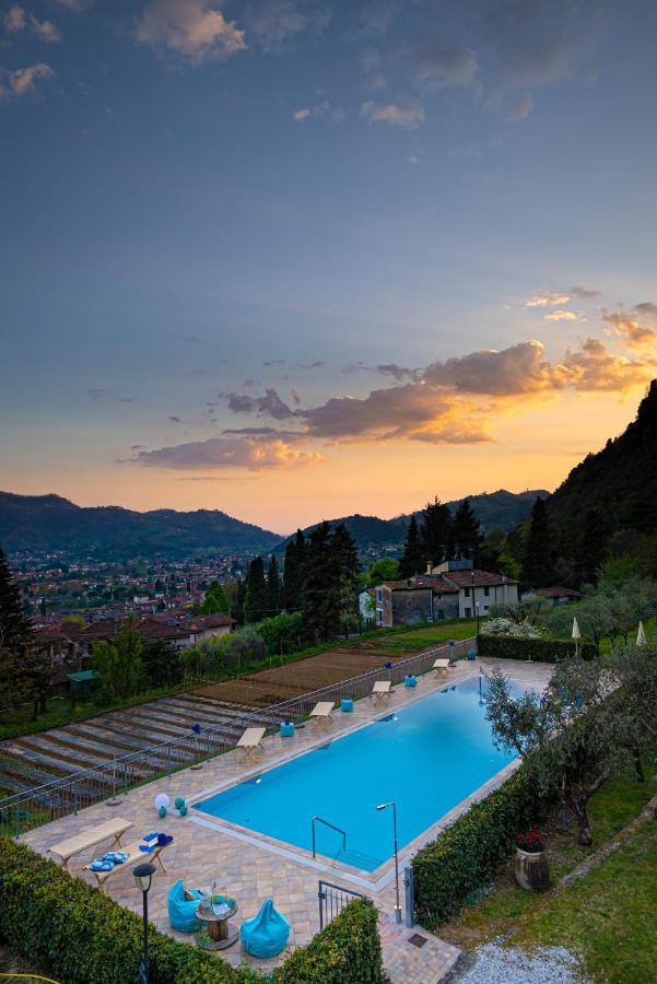 Sotto Il Cielo Di Toscana Appartamenti In Tenuta Only Adults No Pet Camaiore Eksteriør billede