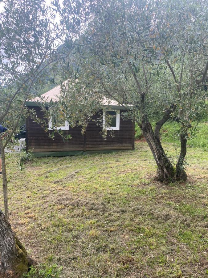 Sotto Il Cielo Di Toscana Appartamenti In Tenuta Only Adults No Pet Camaiore Eksteriør billede