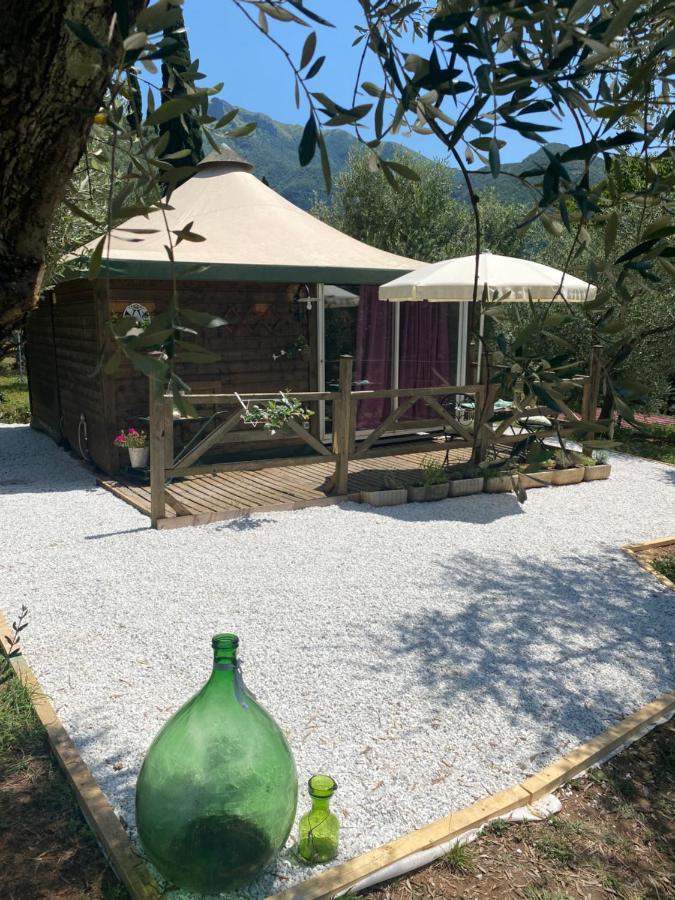 Sotto Il Cielo Di Toscana Appartamenti In Tenuta Only Adults No Pet Camaiore Eksteriør billede