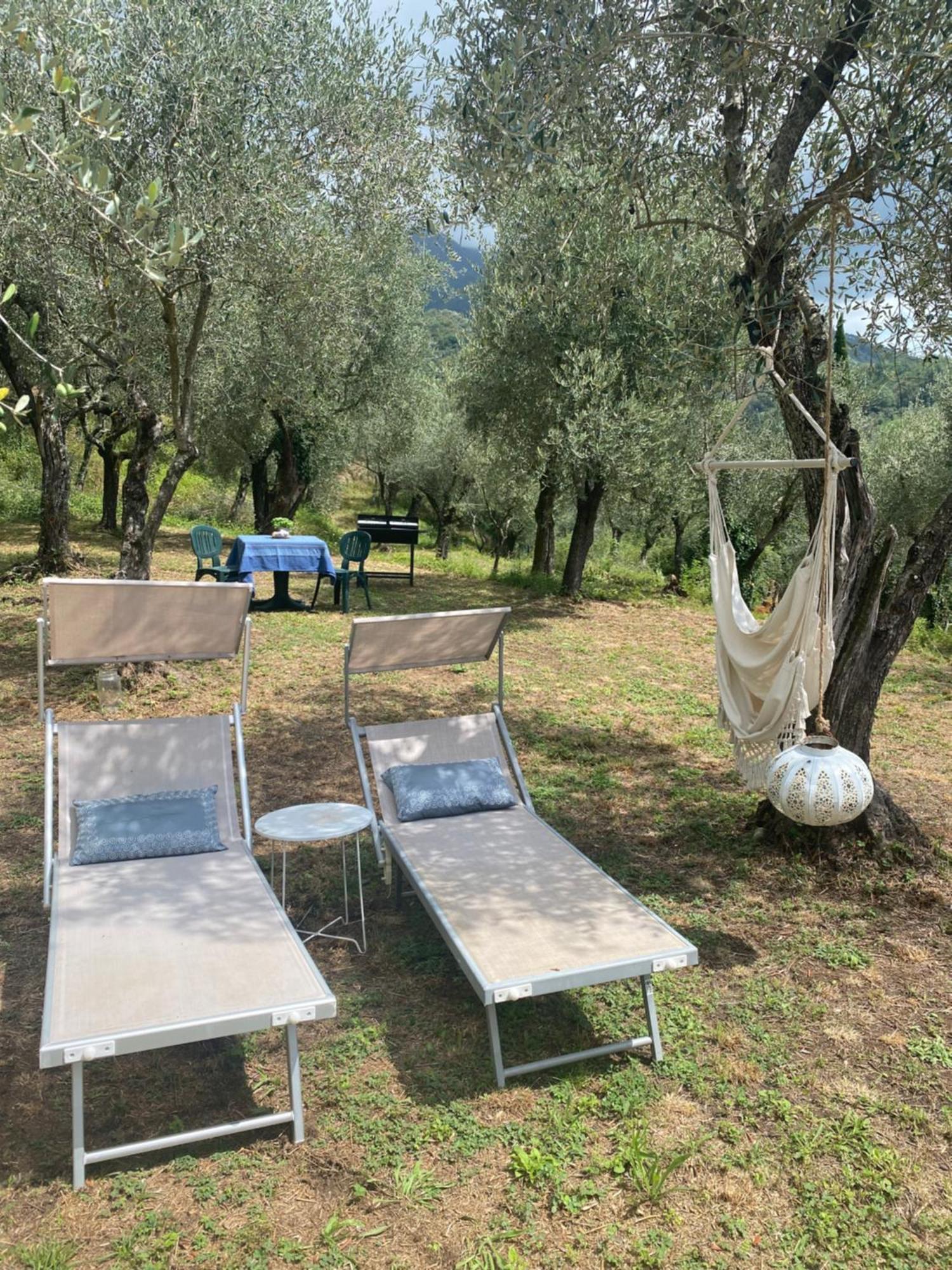 Sotto Il Cielo Di Toscana Appartamenti In Tenuta Only Adults No Pet Camaiore Eksteriør billede