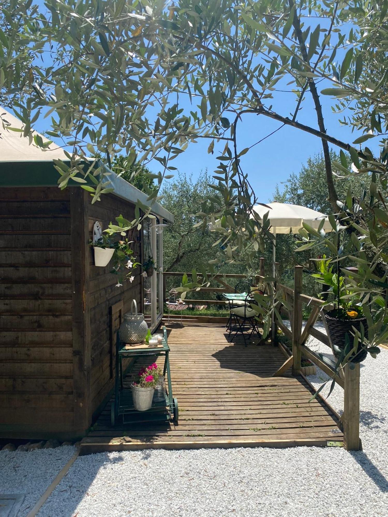 Sotto Il Cielo Di Toscana Appartamenti In Tenuta Only Adults No Pet Camaiore Eksteriør billede